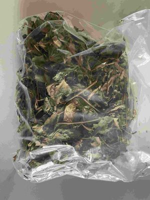 Organic Dried Pure Raspberry Leaf Tea Cut Sifted Sweet Raspberry Leaves Herbs Tea Bags Pregnancy Tea