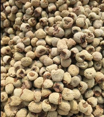 Fu Pen Zi Food Grade Manufacturer Directly Sales Fructus Herb Raspberry