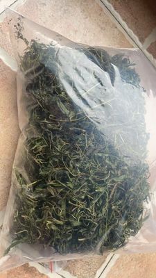 Raspberry Sweet Leaf Non-Toxic High Sweetness and Low Calorie Natural Sweetener Included Flavonoid Tea Polyphnol and Rubusoside