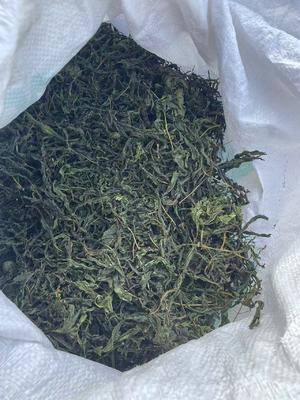 raspberry sweet tea natural herbal weight loss tea popular Hot Sale Flavored Herbal Tea