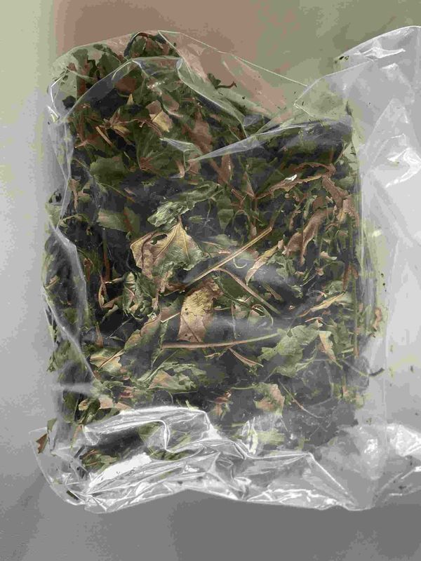 Organic Dried Pure Raspberry Leaf Tea Cut Sifted Sweet Raspberry Leaves Herbs Tea Bags Pregnancy Tea