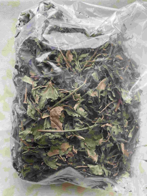 Wholesale Natural Tea Pregnancy Tea Dried Raspberry Leaves Tea Fu Pen Zi Ye Sweet Leaves