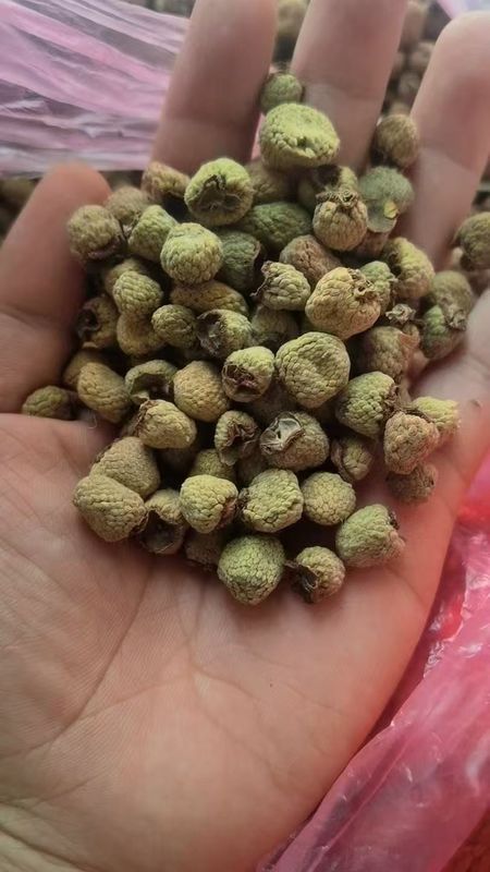 Fu Pen Zi Chinese Herbal Medicine Palm Leaf Raspberry Fruit for Male Health