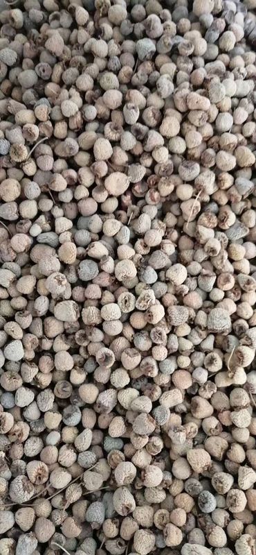 Hot Sale Chinese Herb Fu Pen Zi Liver Kidney Deficiency Remedy
