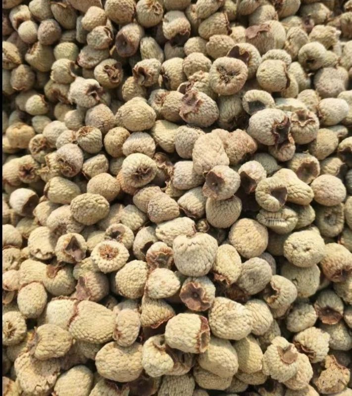 Fu Pen Zi Food Grade Manufacturer Directly Sales Fructus Herb Raspberry