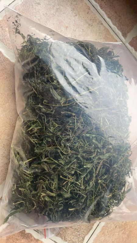 Raspberry Sweet Leaf Non-Toxic High Sweetness and Low Calorie Natural Sweetener Included Flavonoid Tea Polyphnol and Rubusoside